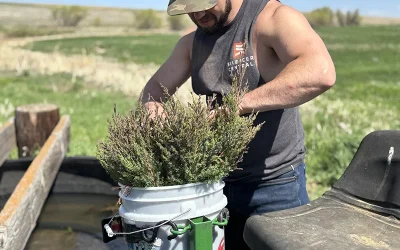 The Future is Rooted in What We Plant Today.